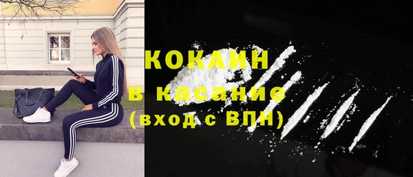 индика Алексеевка