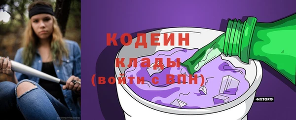 индика Алзамай