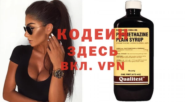 индика Алзамай