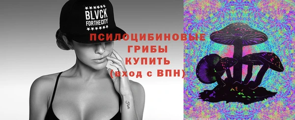 индика Алзамай