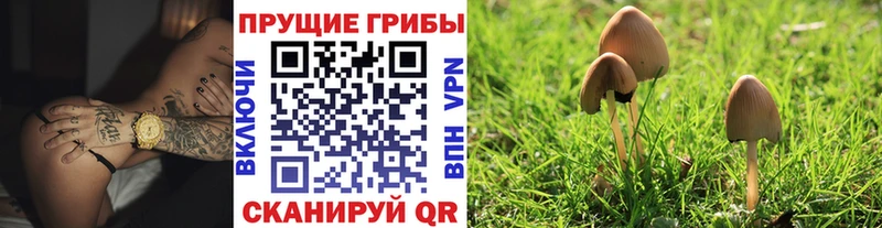Псилоцибиновые грибы GOLDEN TEACHER  Купить  Теберда 