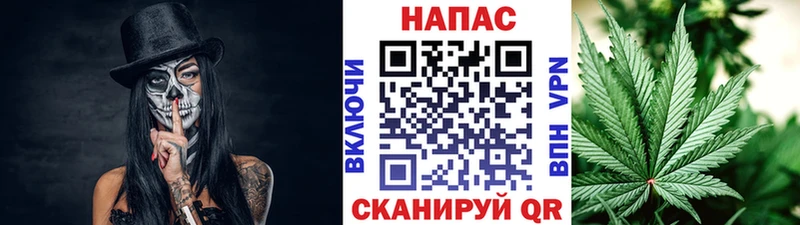 Купить  Теберда  Бошки Шишки гибрид 